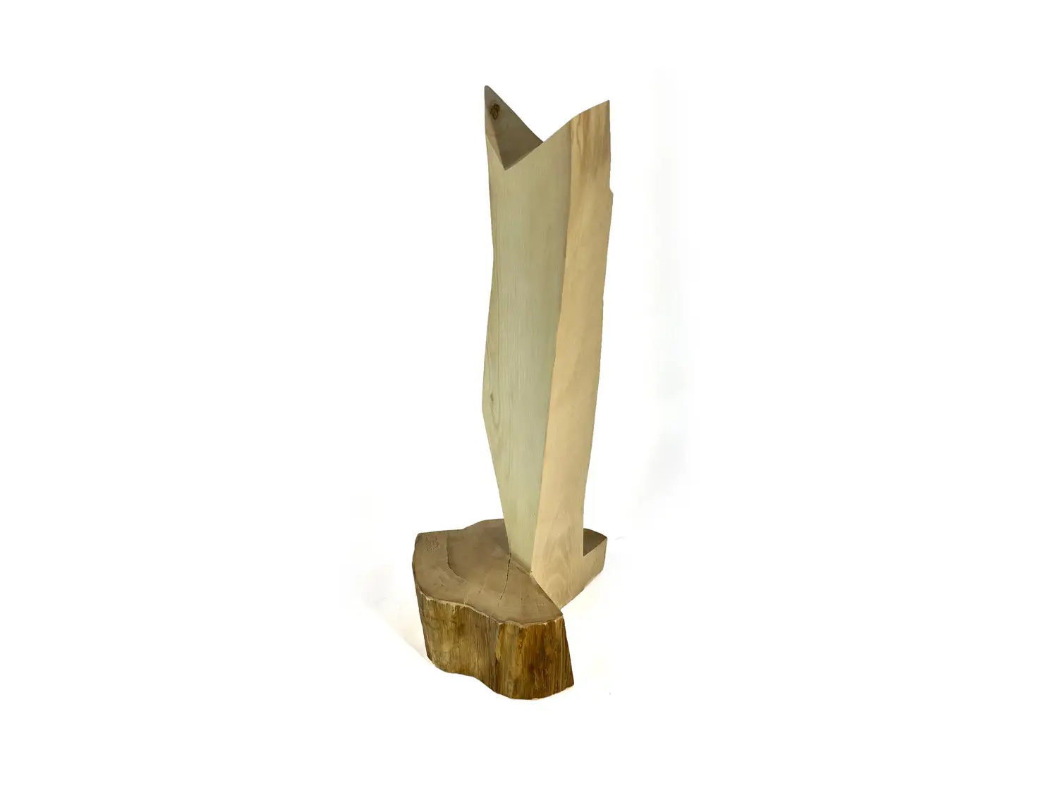architect Tsvetan Simeonov, plastic wood, MOODWOOD design, design - 3