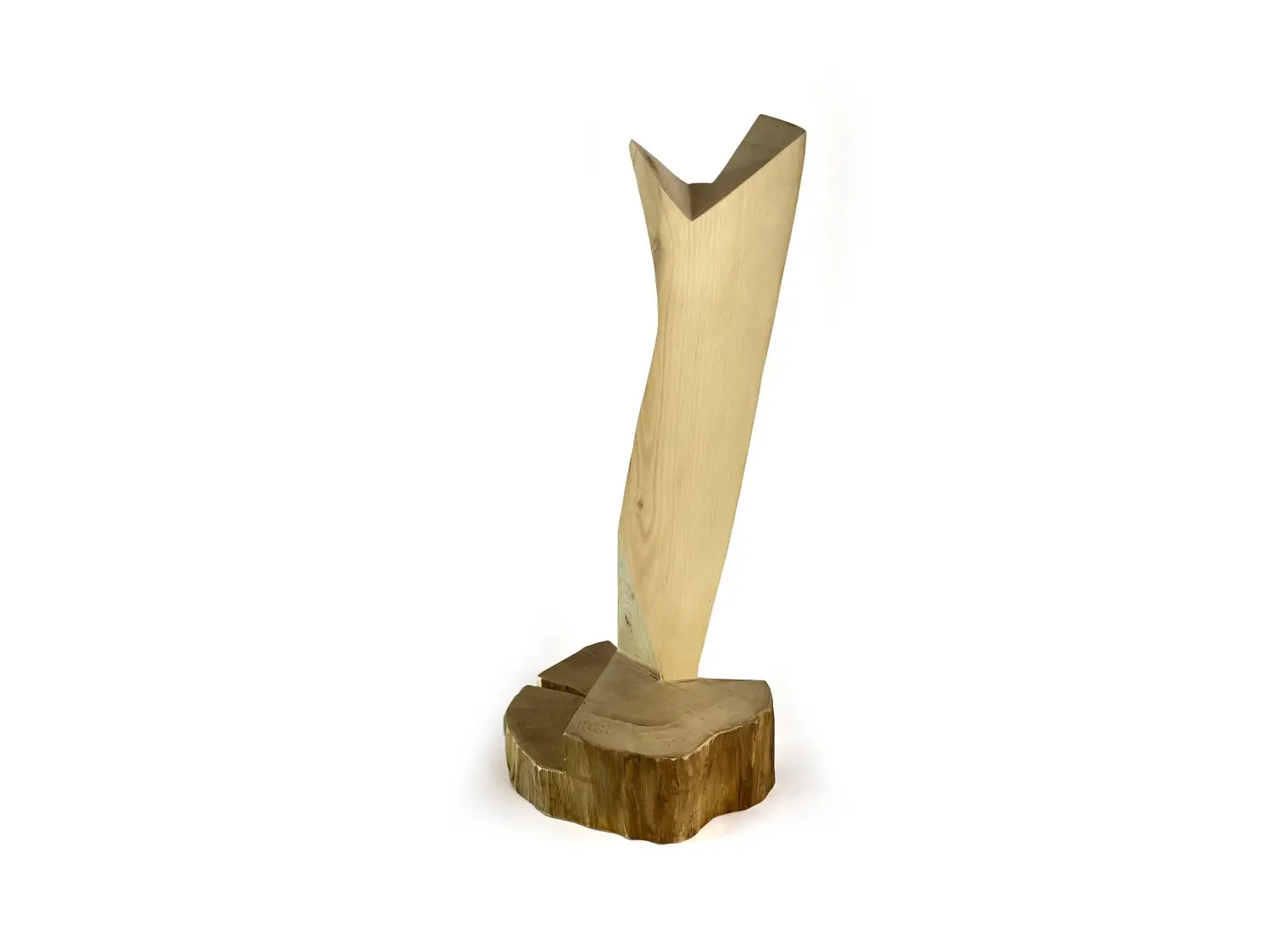 architect Tsvetan Simeonov, plastic wood, MOODWOOD design, design - 2