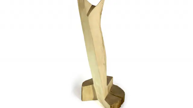 architect Tsvetan Simeonov, plastic wood, MOODWOOD design, design (4)
