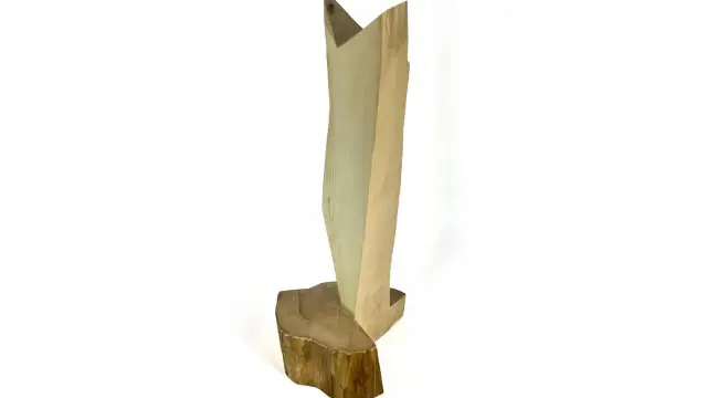 architect Tsvetan Simeonov, plastic wood, MOODWOOD design, design (3)
