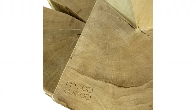 architect Tsvetan Simeonov, plastic wood, MOODWOOD design, design (5)