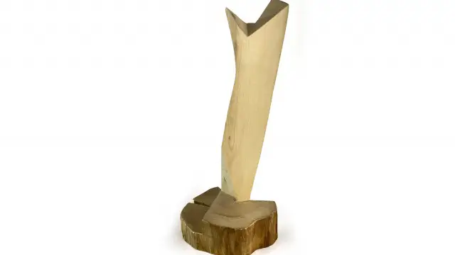 architect Tsvetan Simeonov, plastic wood, MOODWOOD design, design (2)